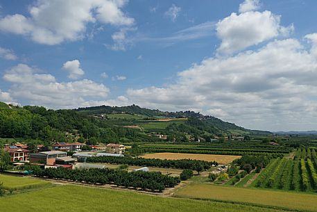 Roero Landscape